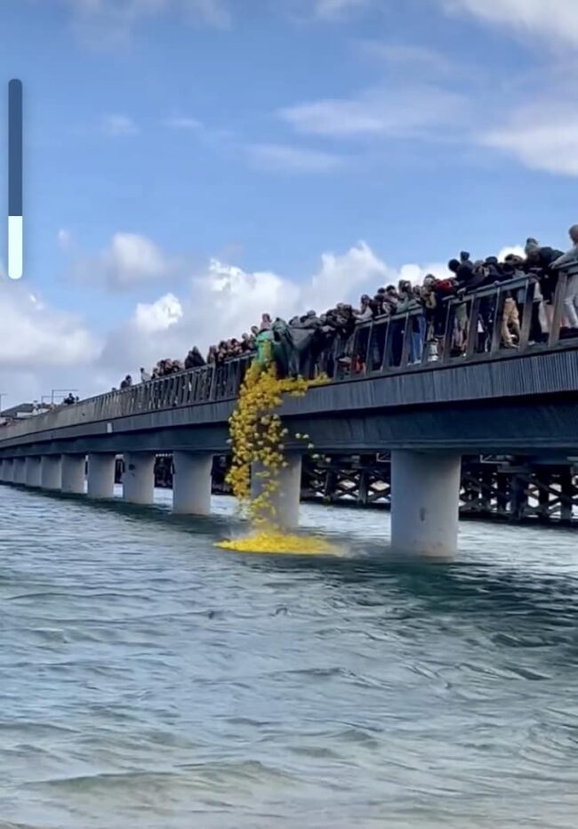 2023 Barwon Heads Duck Race, yellow toy ducks being thrown off the bridge